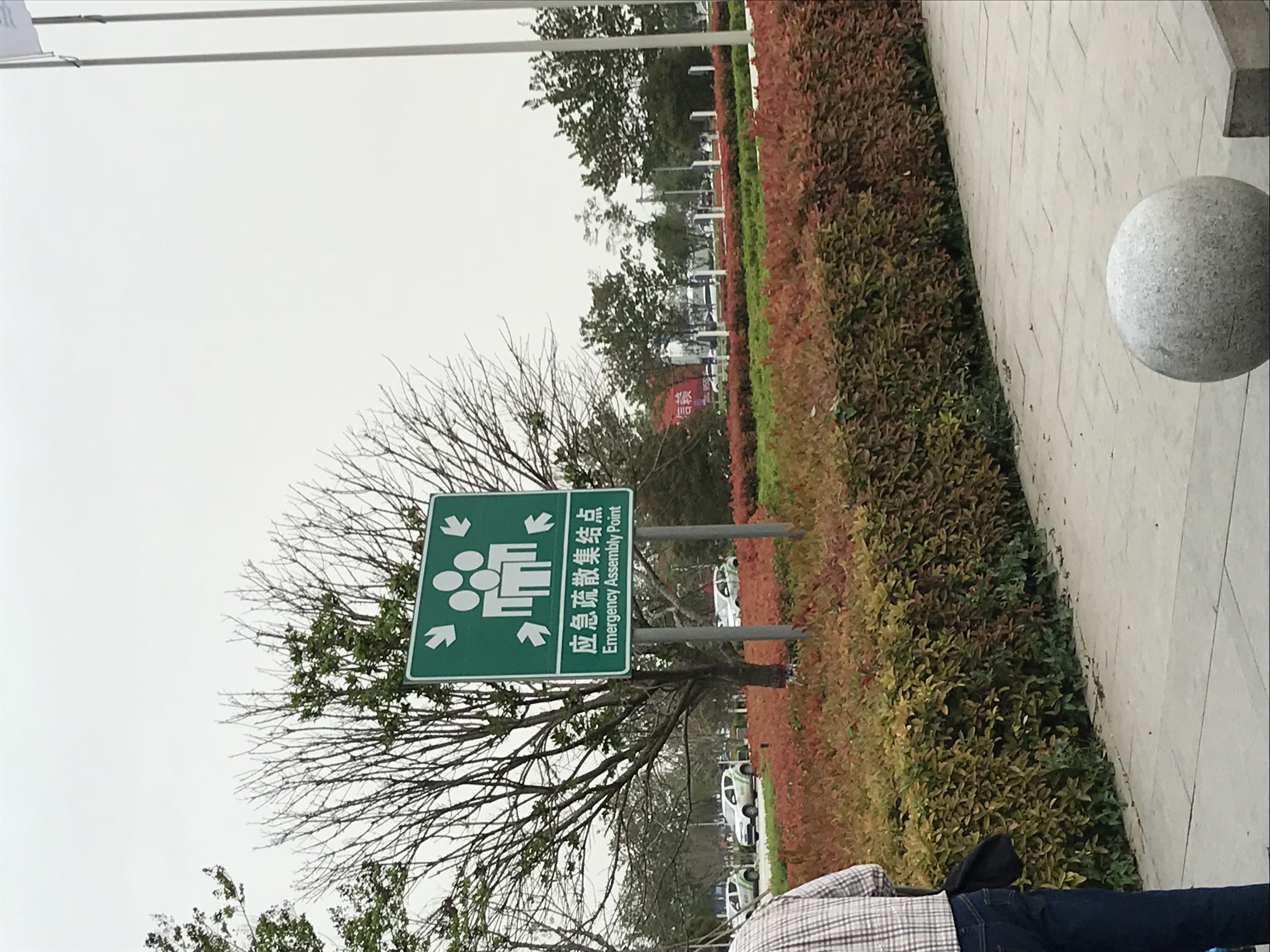 ./2018/03 - Viking China/11 - Xian/IMG_5994.JPG